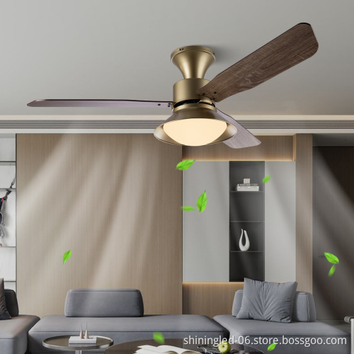 SLYNN Luxury Golden LED Chandelier Lighting with Remote Control